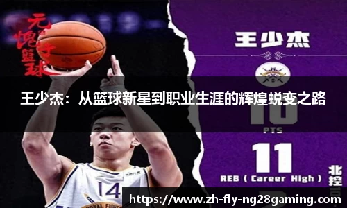 王少杰：从篮球新星到职业生涯的辉煌蜕变之路