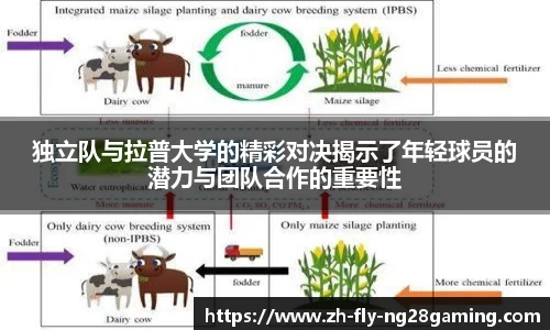 独立队与拉普大学的精彩对决揭示了年轻球员的潜力与团队合作的重要性