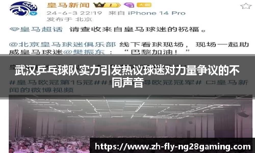 武汉乒乓球队实力引发热议球迷对力量争议的不同声音