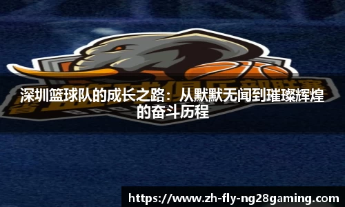 深圳篮球队的成长之路：从默默无闻到璀璨辉煌的奋斗历程